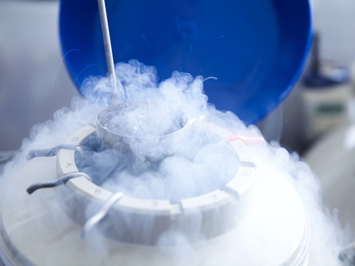 Cryopreservation