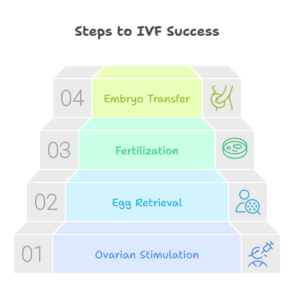 Steps for IVF Success in Chandigarh 